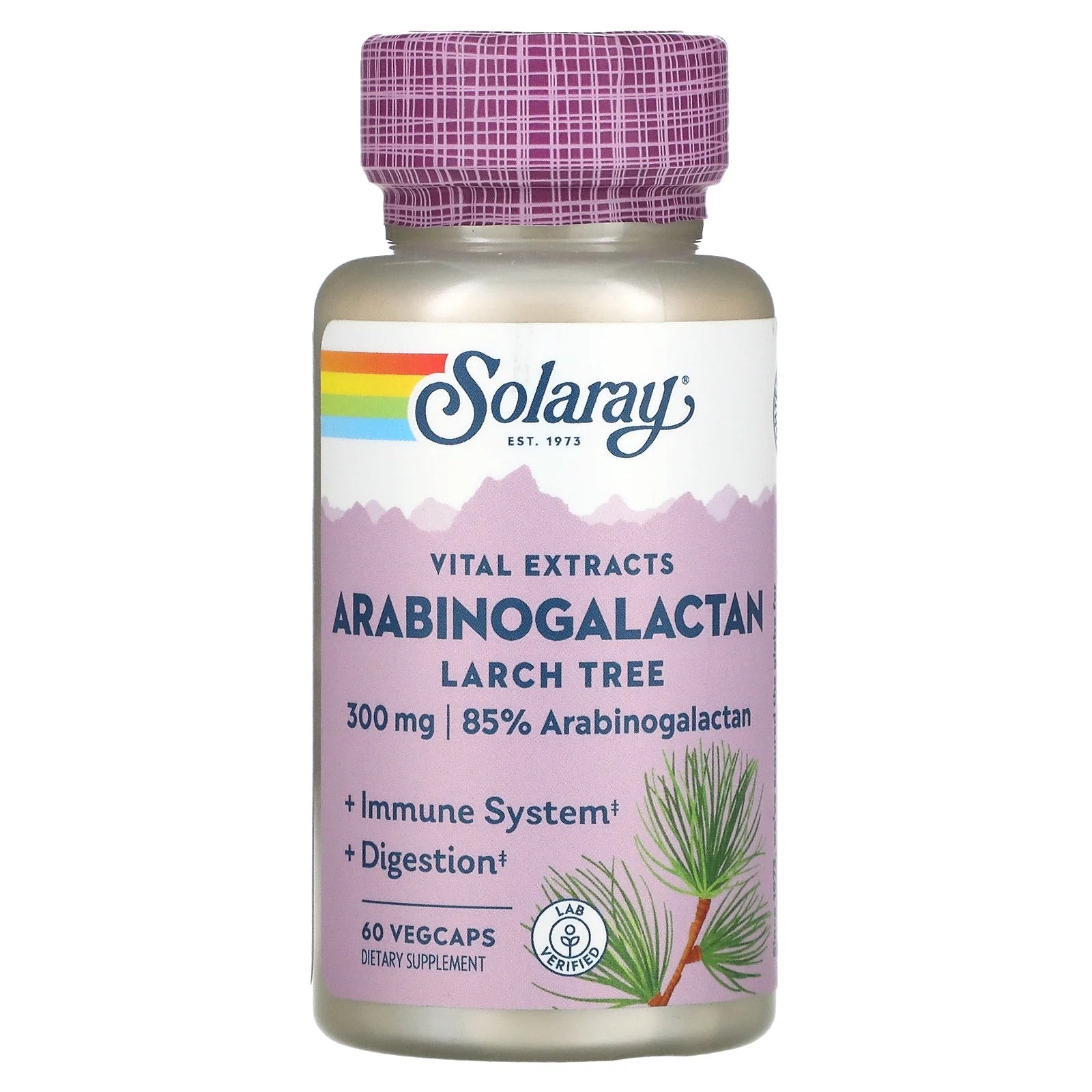 Arabinogalactan, Larch Tree Extract 300Mg | Prebiotic Fiber for Healthy Gut & Immune System Support | 60 Vegcaps