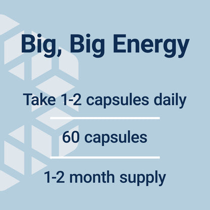 Super R-Lipoic Acid – Longevity Supplement for Oxidative Stress Defense – with 240 Mg of Active R-Form of R-Lipoic Acid – Gluten-Free – Non-Gmo – Vegetarian – 60 Capsules