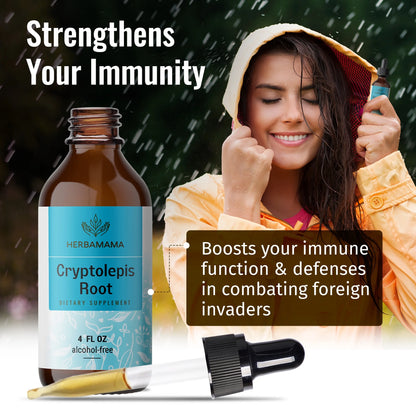 Cryptolepis Liquid Extract - Organic Tincture for Immune Support, Herbal Drops 4 Fl. Oz
