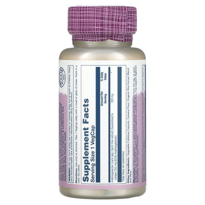 Arabinogalactan, Larch Tree Extract 300Mg | Prebiotic Fiber for Healthy Gut & Immune System Support | 60 Vegcaps