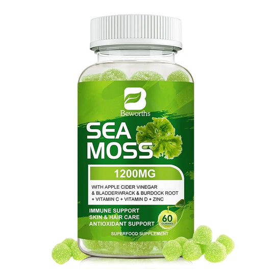 Sea Moss Gummies with Burdock Root + Bladderwrack - Wildcrafted Sea Moss Raw Organic Gummy with Sea Moss - Seamoss Gummies Vegan - 60 Ct