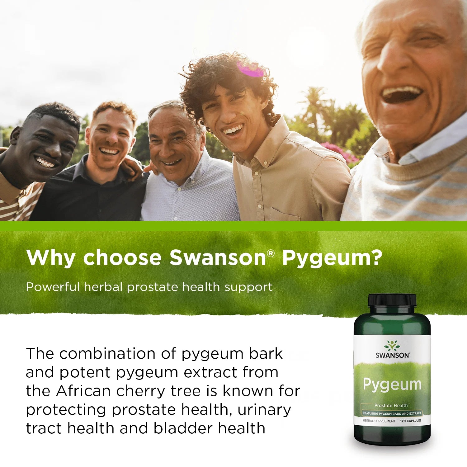 Pygeum - Featuring Pygeum Bark and Extract 120 Caps 2 Pack