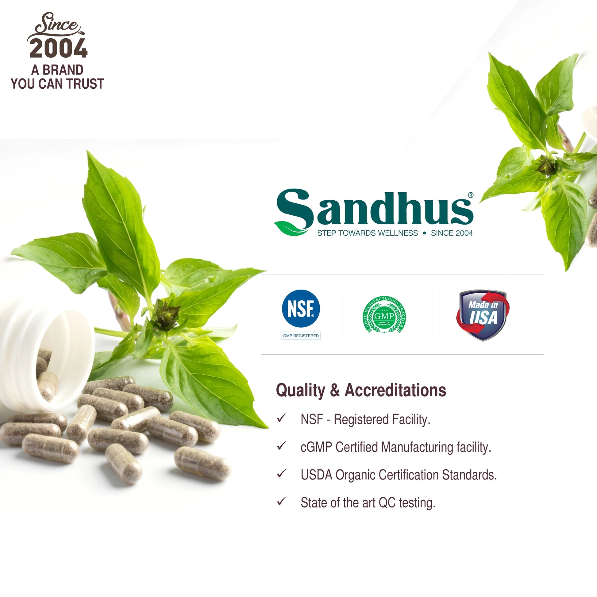 Guduchi 1000Mg, Herbal Supplement for Immune & Liver Health, Offers 100 Veggie Capsules
