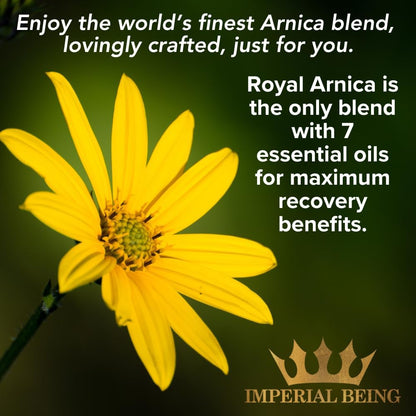 Royal Arnica Oil, Rapid Recovery Formula - Organic Super Premium Herbal Blend with 100% Pure Essential Oils to Relieve Sore Muscles, Bruise Care, Natural Body Therapy, Massage, Trauma, Aches (1Oz)