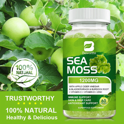 Sea Moss Gummies with Burdock Root + Bladderwrack - Wildcrafted Sea Moss Raw Organic Gummy with Sea Moss - Seamoss Gummies Vegan - 60 Ct