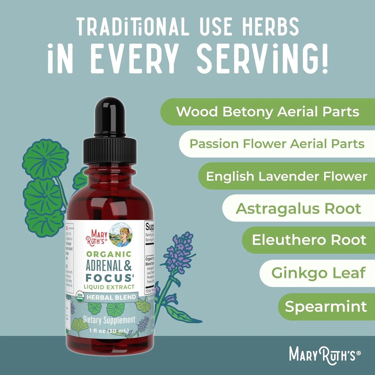 USDA Organic Adrenal & Focus Liquid Drops Astragalus Root Herbal Supplement Vegan, Non-Gmo 1 Fl Oz / 30 Ml
