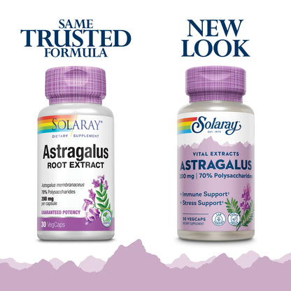 Astragalus Root Extract 200 Mg | Adaptogenic & Healthy Immune Function & Stress Support | Non-Gmo | 30 Vegcaps