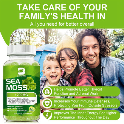 Sea Moss Gummies with Burdock Root + Bladderwrack - Wildcrafted Sea Moss Raw Organic Gummy with Sea Moss - Seamoss Gummies Vegan - 60 Ct