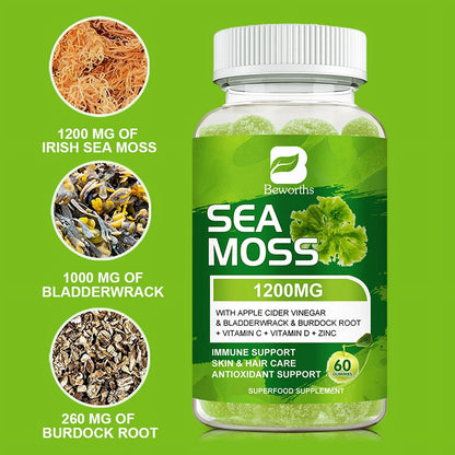 Sea Moss Gummies with Burdock Root + Bladderwrack - Wildcrafted Sea Moss Raw Organic Gummy with Sea Moss - Seamoss Gummies Vegan - 60 Ct