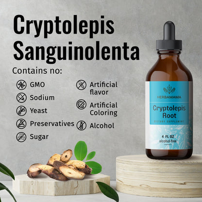 Cryptolepis Liquid Extract - Organic Tincture for Immune Support, Herbal Drops 4 Fl. Oz